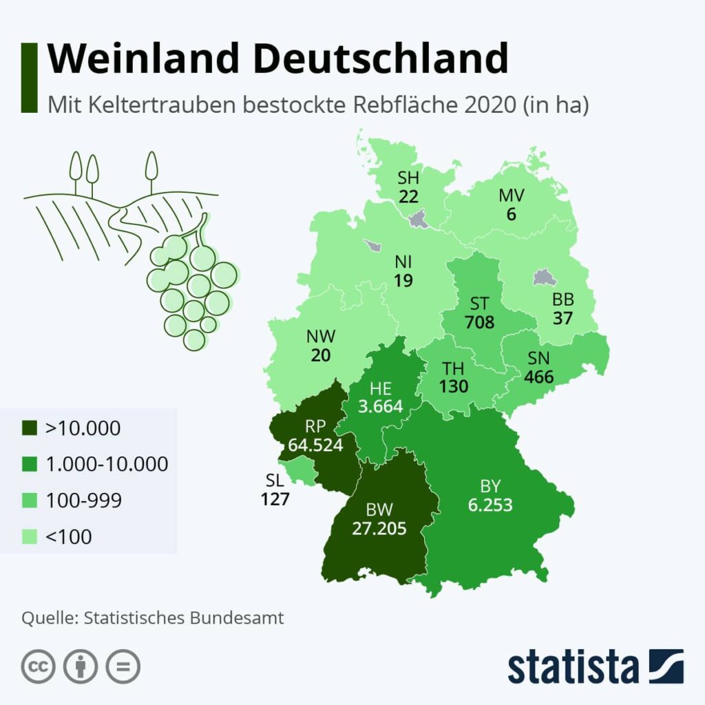 Statistik über Weinbauflächen in Deutschland