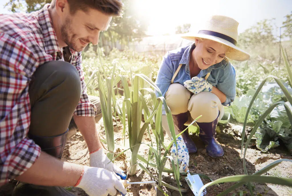 bauer sucht frau (5) | bauer sucht frau