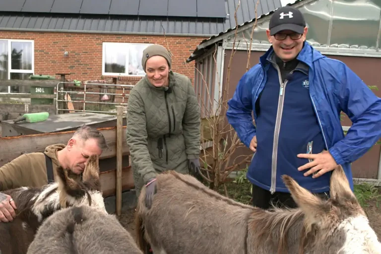 Nadine mit Ron und David bei den Eseln bei Bauer sucht Frau International