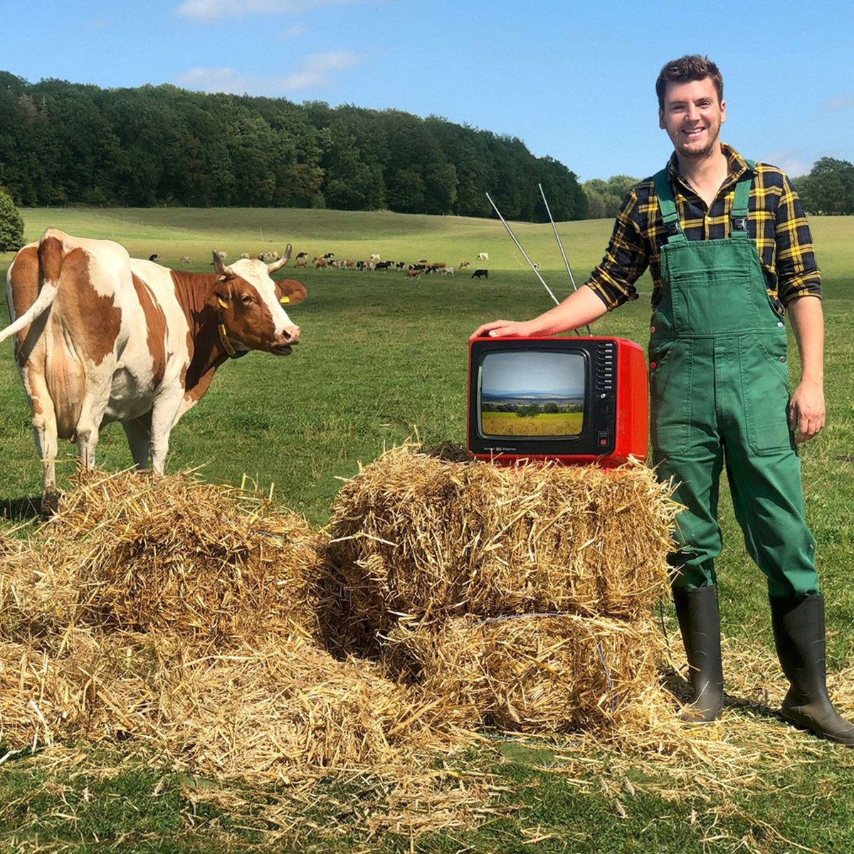Ralf Herrmann Bauer sucht Frau Bauernreporter RTL | Ralf Herrmann als Bauernreporter bei Bauer sucht Frau auf der Weide mit Kuh und Retro-Fernseher
