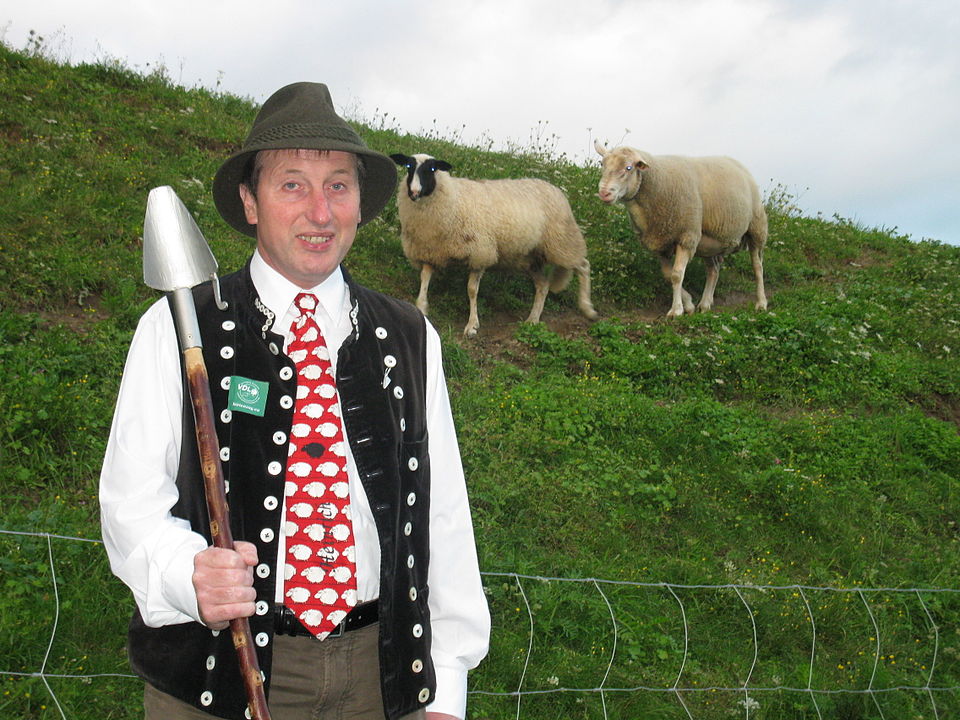 Man in a dark hat and vest with a shovel stands in a grassy field, two sheep grazing on a hill behind him.